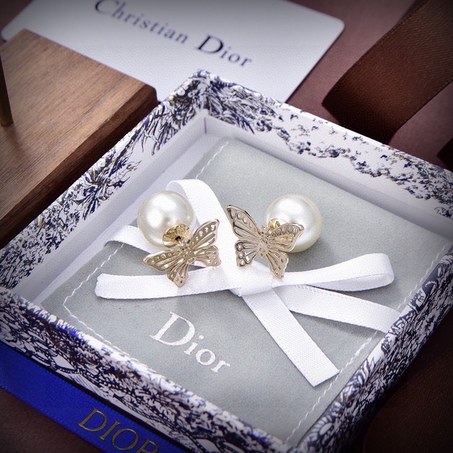 Dior Earrings CE15018