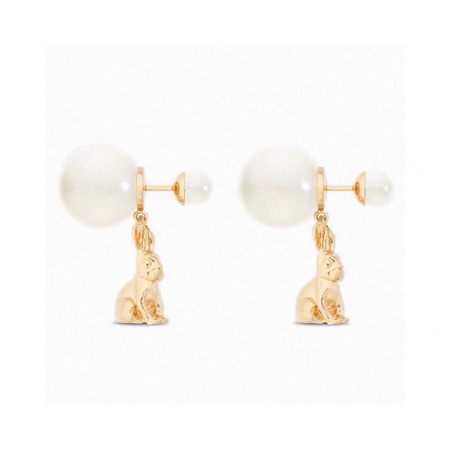 Dior Earrings CE15019