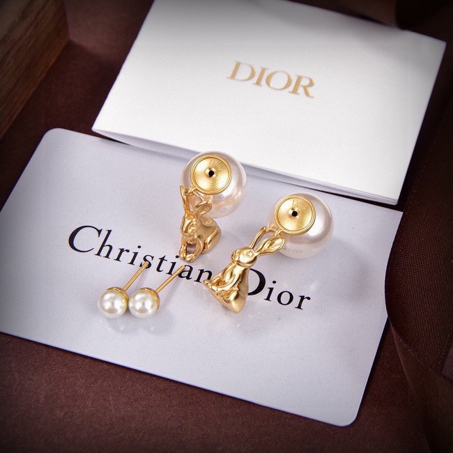 Dior Earrings CE15019