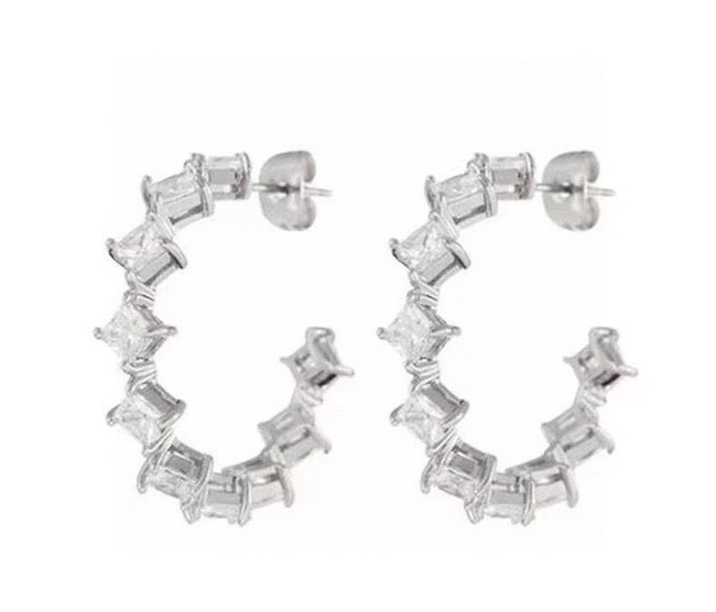 Celine Earrings CE15039