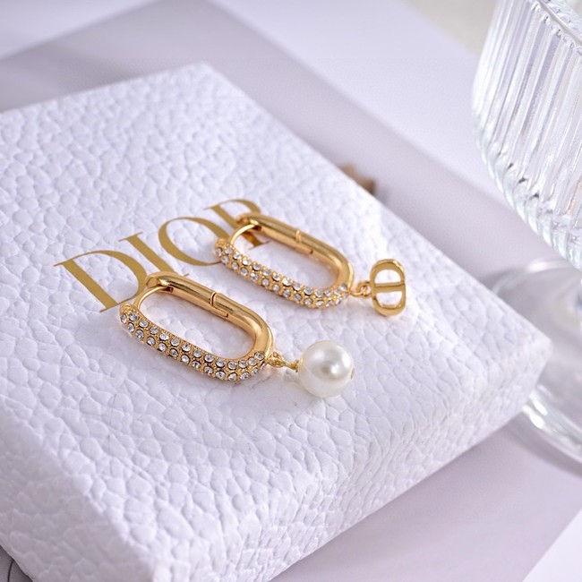 Dior Earrings CE15049