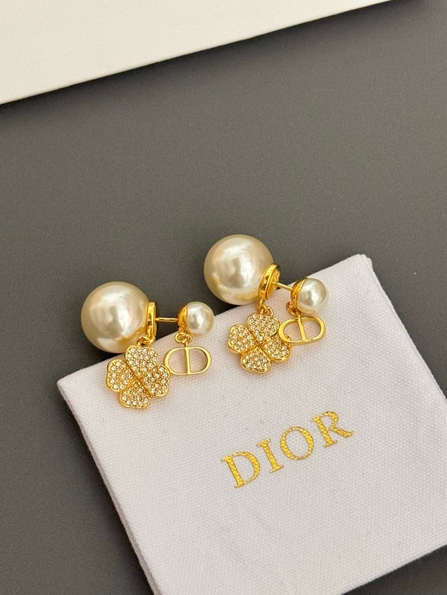 Dior Earrings CE15066