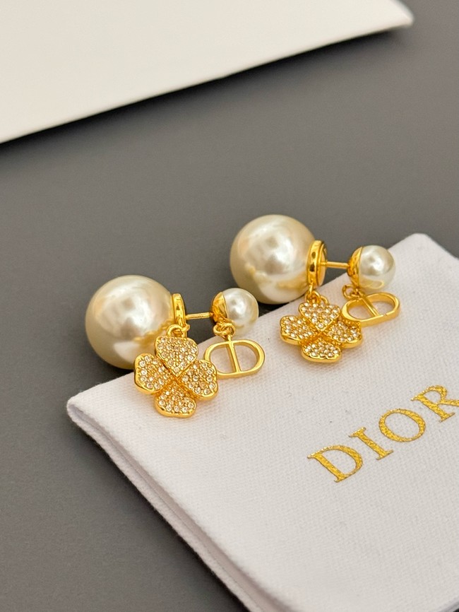 Dior Earrings CE15066