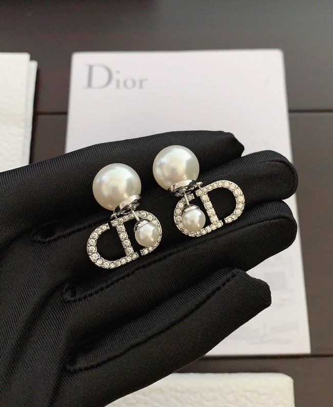 Dior Earrings CE15069