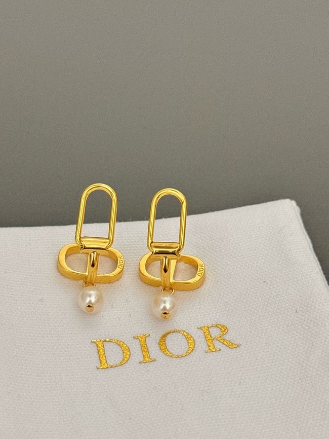 Dior Earrings CE15070