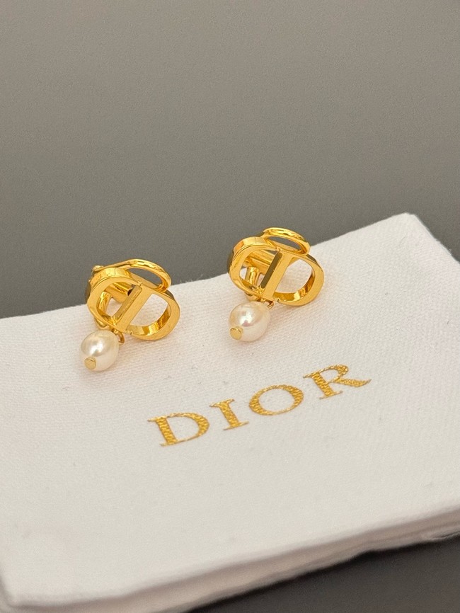 Dior Earrings CE15070