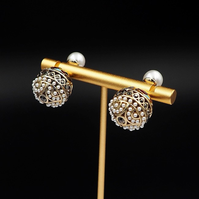 Dior Earrings CE15105