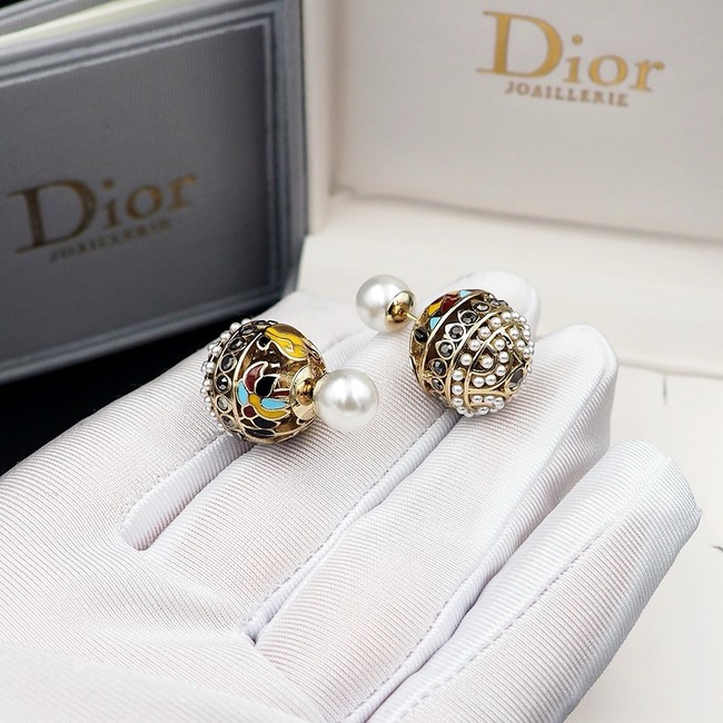 Dior Earrings CE15105