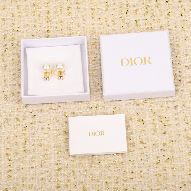 Dior Earrings CE15143