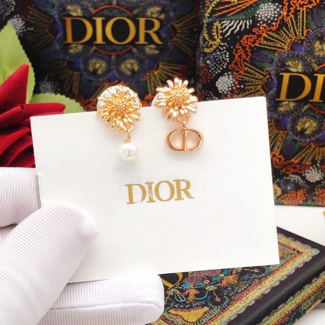 Dior Earrings CE15174