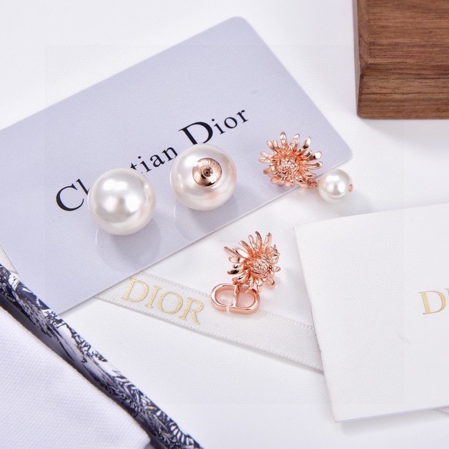 Dior Earrings CE15193