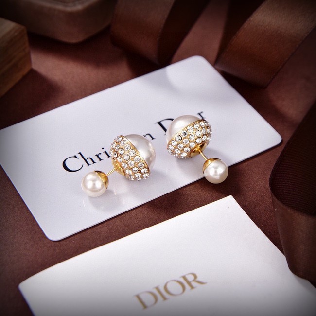 Dior Earrings CE15194