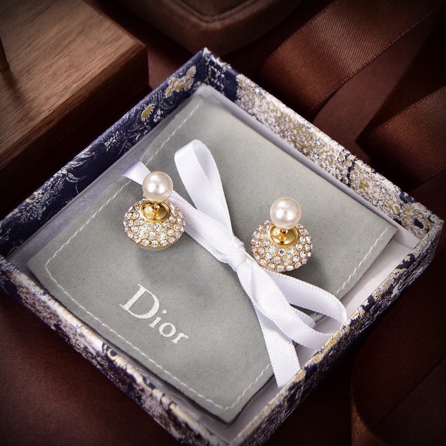 Dior Earrings CE15194