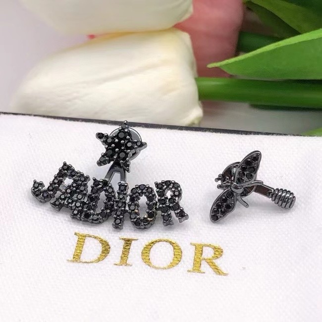 Dior Earrings CE15197