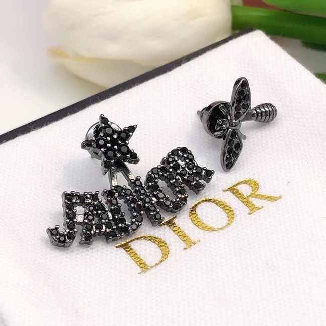 Dior Earrings CE15197