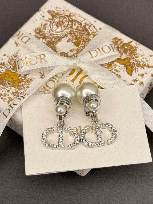 Dior Earrings CE15240