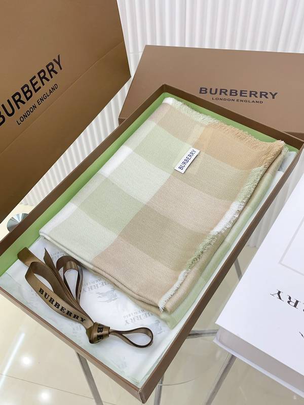 Burberry Scarf BBC00194