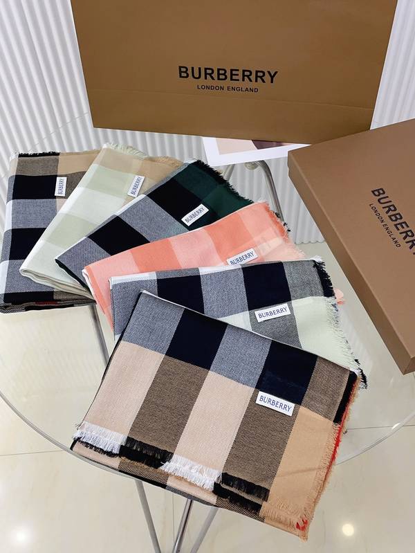 Burberry Scarf BBC00199