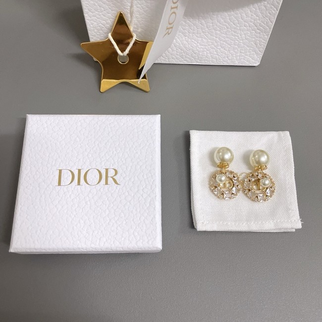 Dior Earrings CE15319