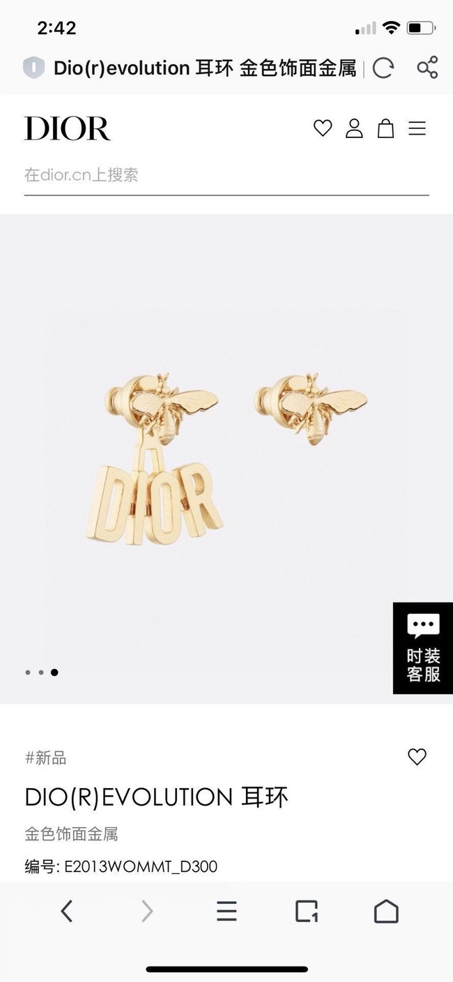 Dior Earrings CE15321