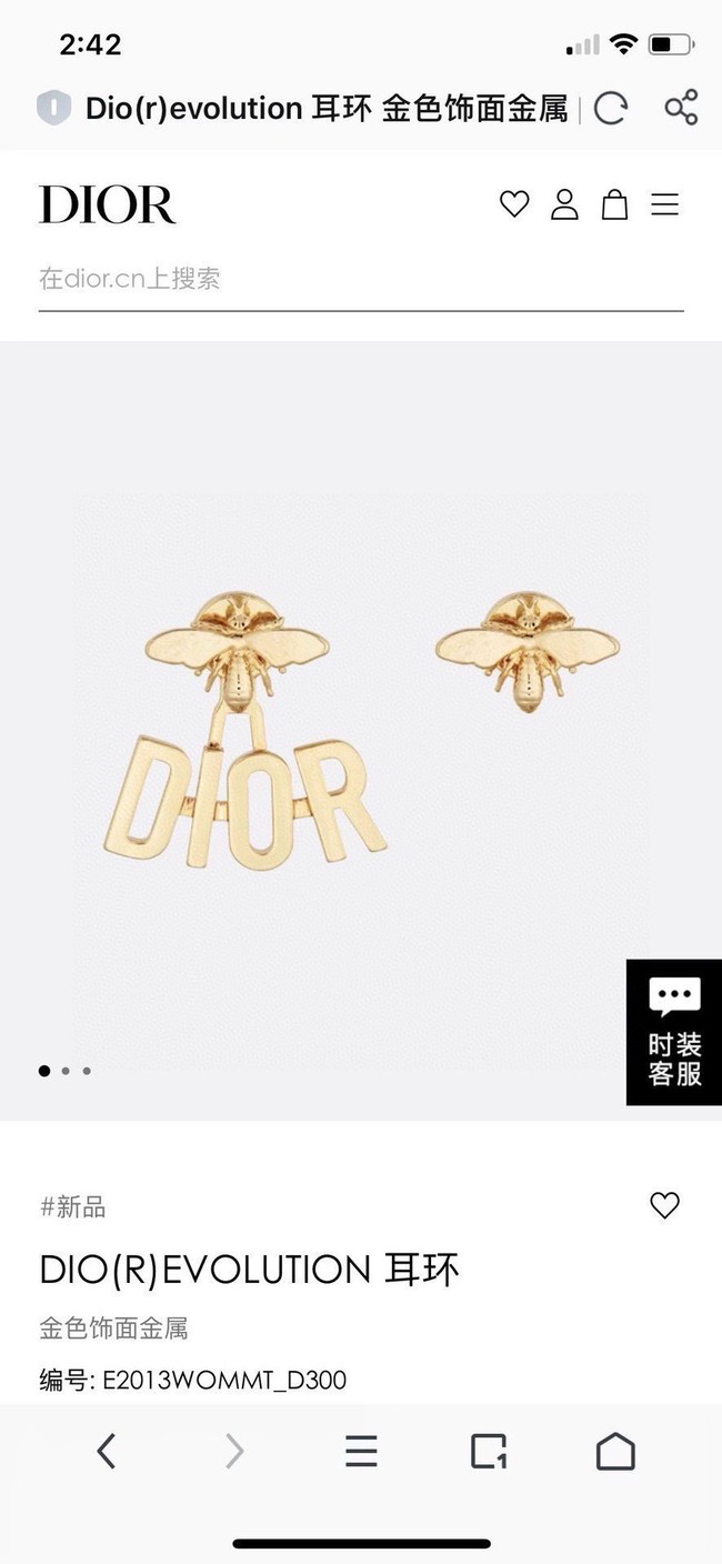 Dior Earrings CE15321