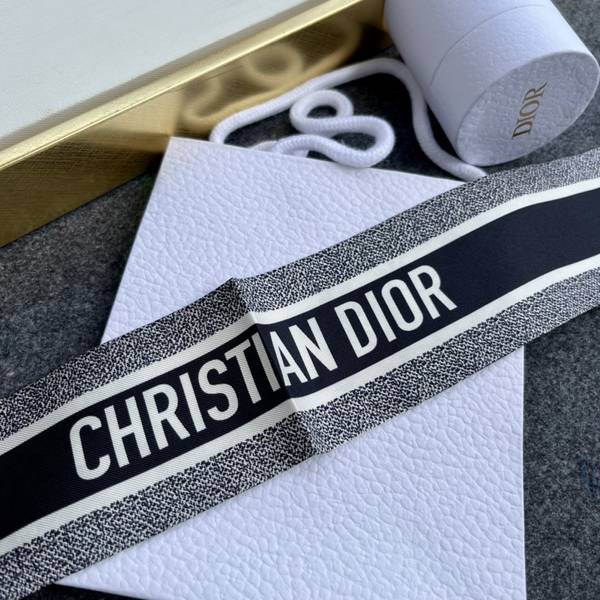 Dior Scarf DIC00369