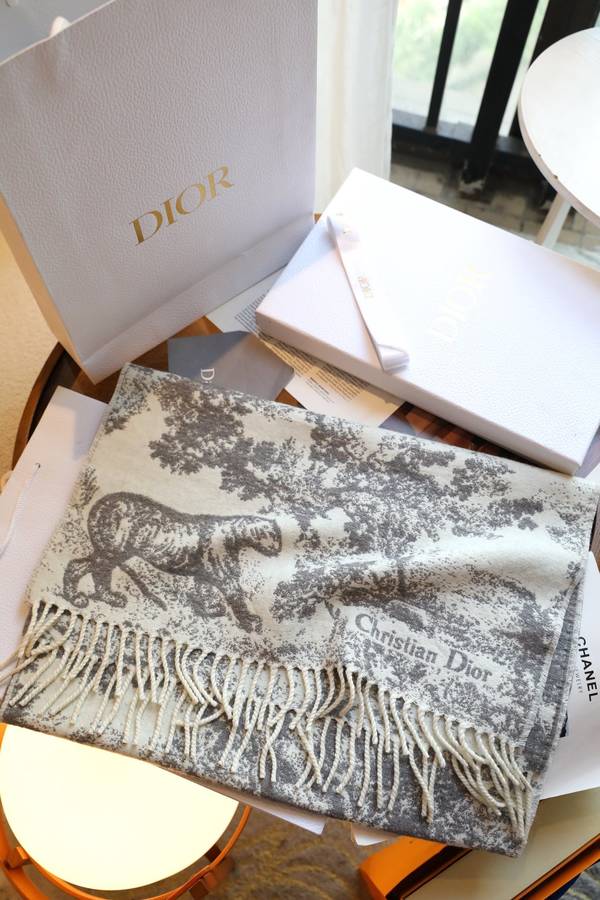 Dior Scarf DIC00372