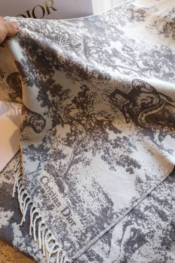 Dior Scarf DIC00372