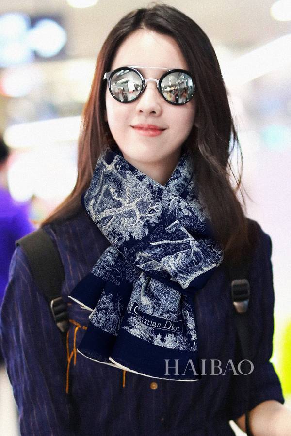 Dior Scarf DIC00379