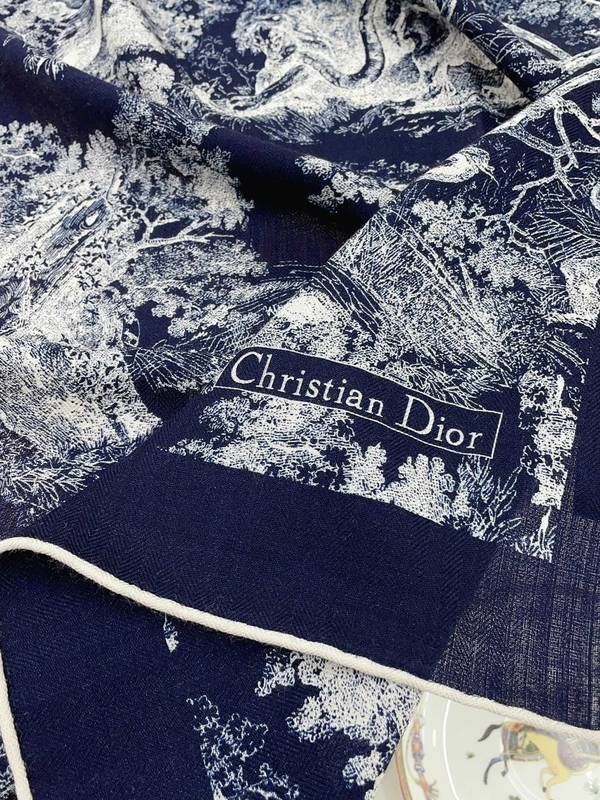 Dior Scarf DIC00379