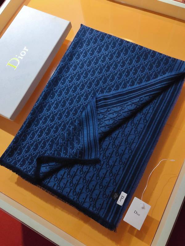 Dior Scarf DIC00384