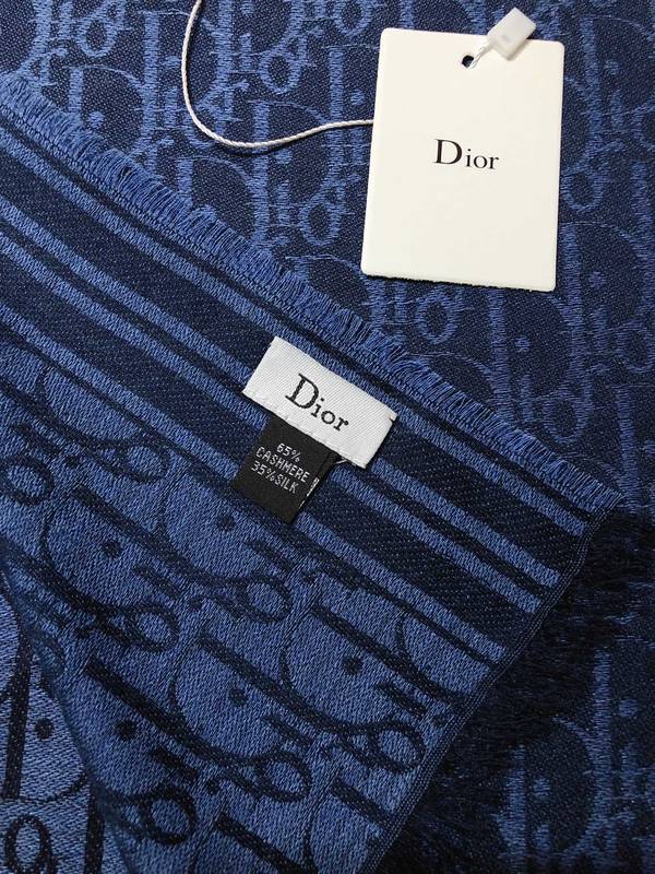 Dior Scarf DIC00384