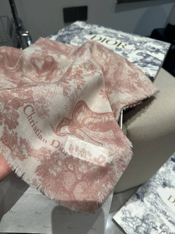 Dior Scarf DIC00385