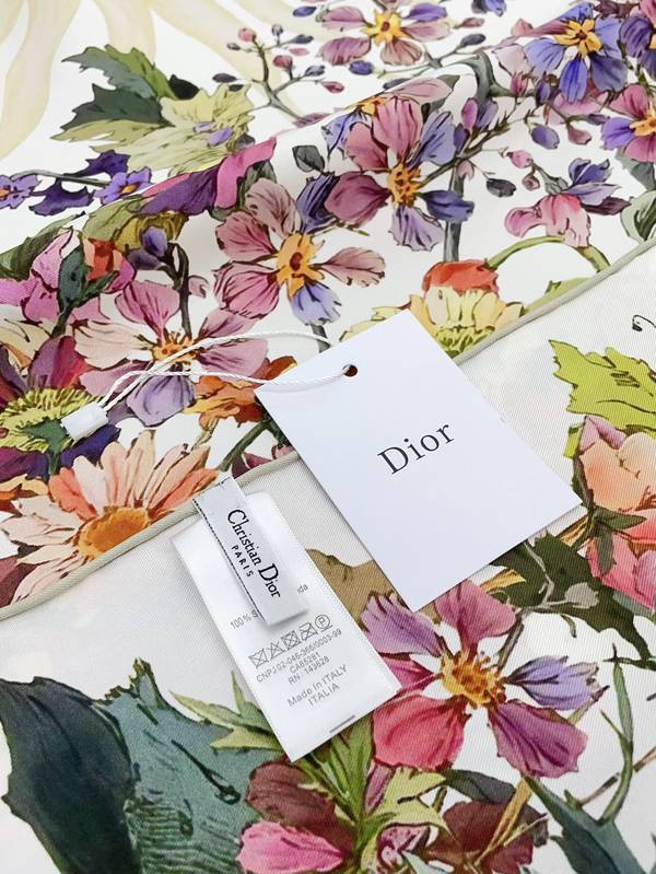 Dior Scarf DIC00394