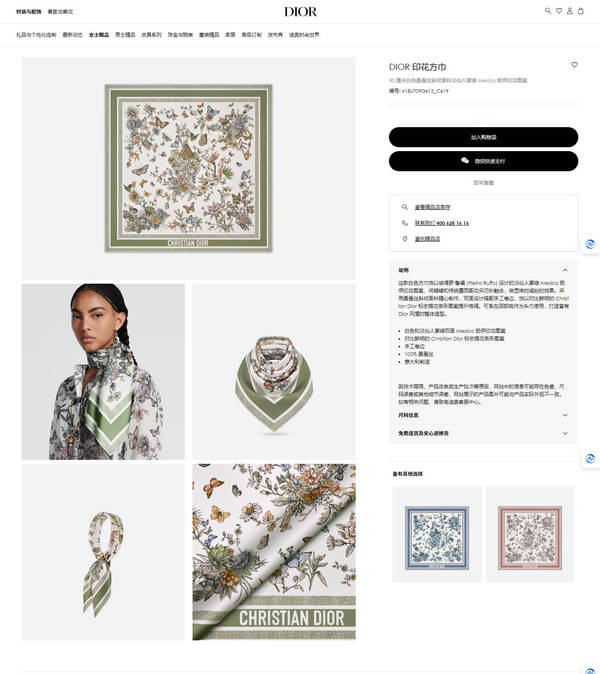 Dior Scarf DIC00397