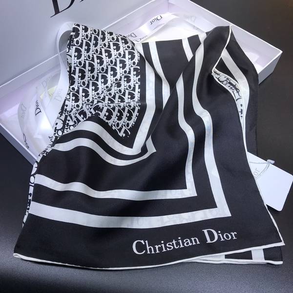 Dior Scarf DIC00409