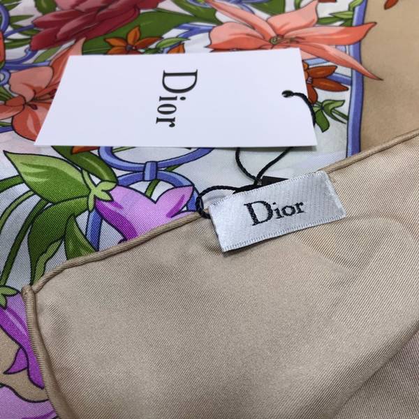 Dior Scarf DIC00412