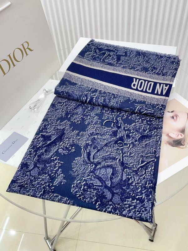 Dior Scarf DIC00433