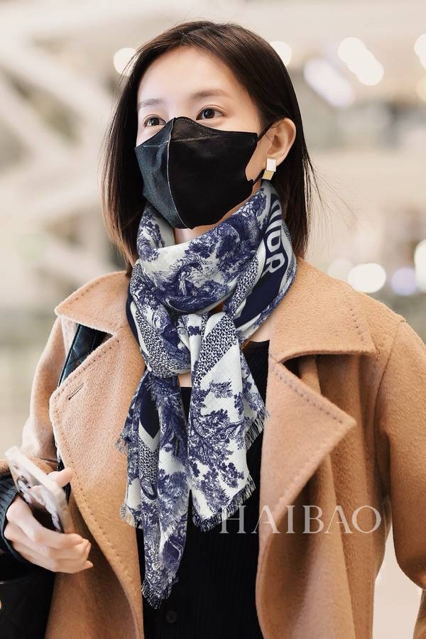 Dior Scarf DIC00435