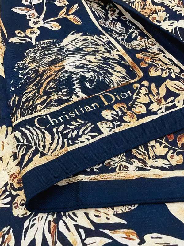 Dior Scarf DIC00437