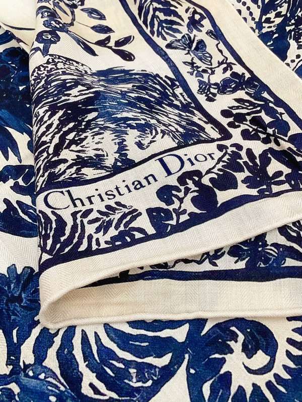 Dior Scarf DIC00438