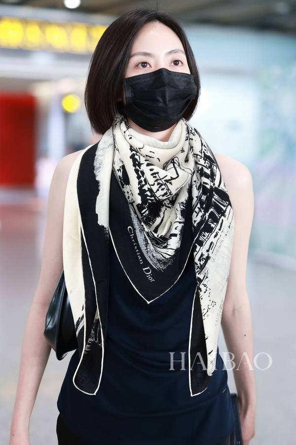 Dior Scarf DIC00447