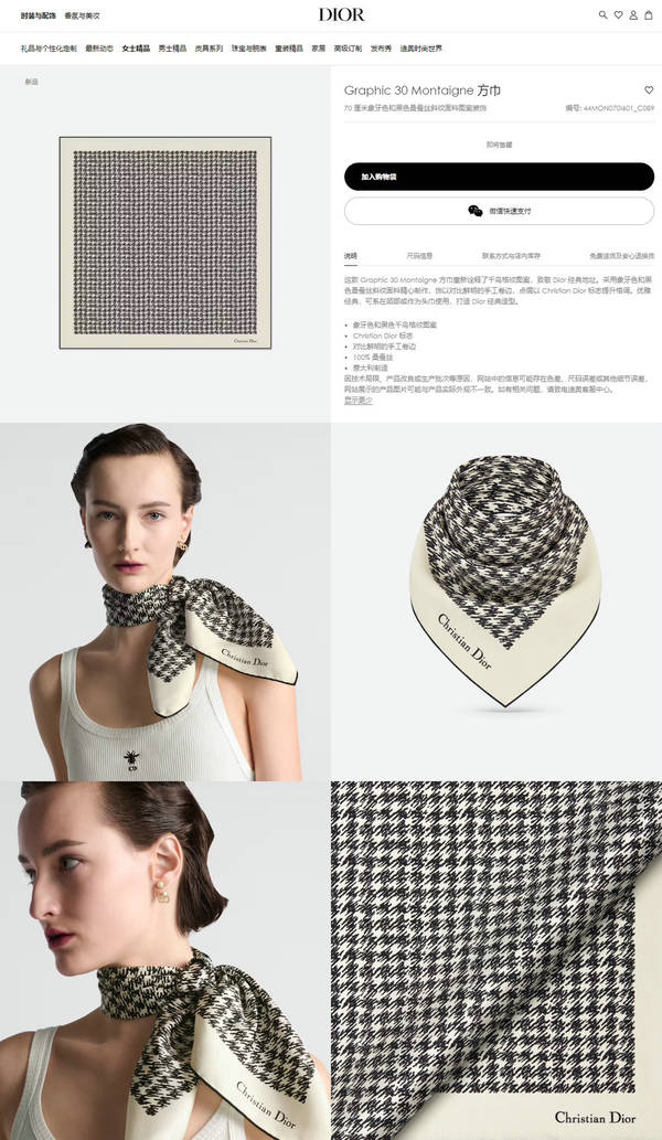 Dior Scarf DIC00459