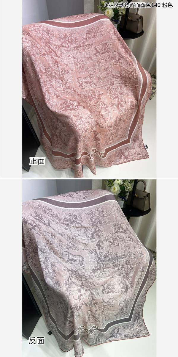 Dior Scarf DIC00465