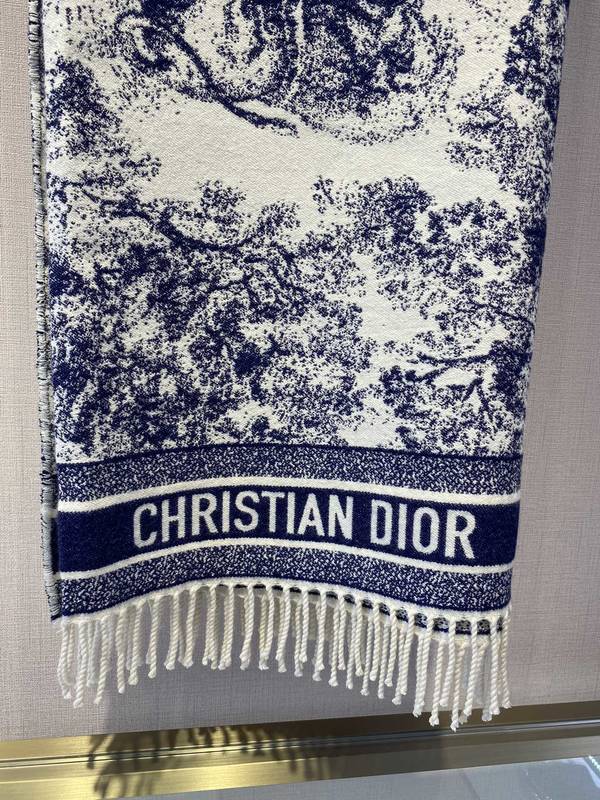 Dior Scarf DIC00475