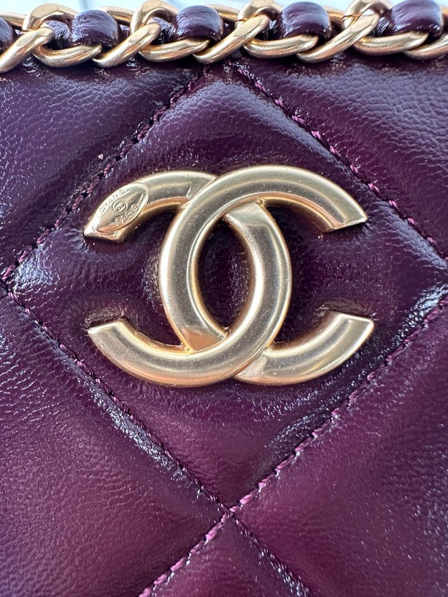 Chanel SMALL CAMERA CASE AS5086 Burgundy