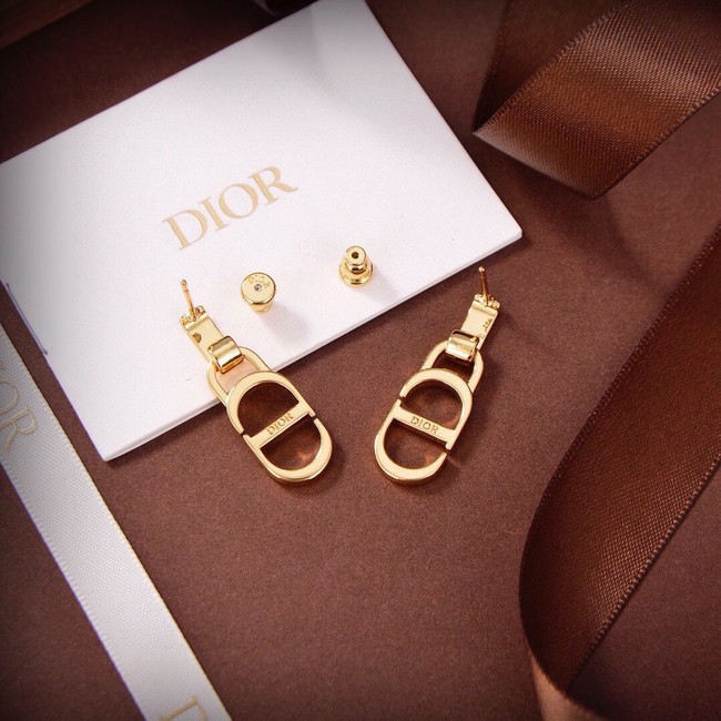 Dior Earrings CE15389