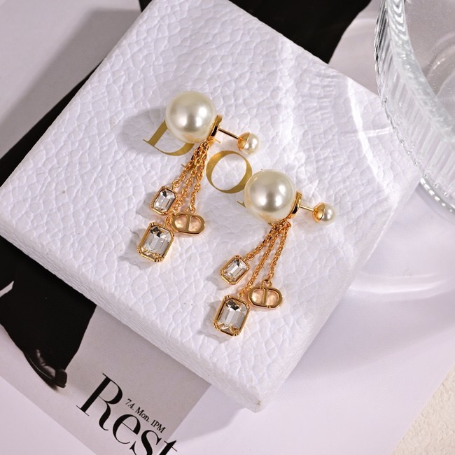 Dior Earrings CE15391