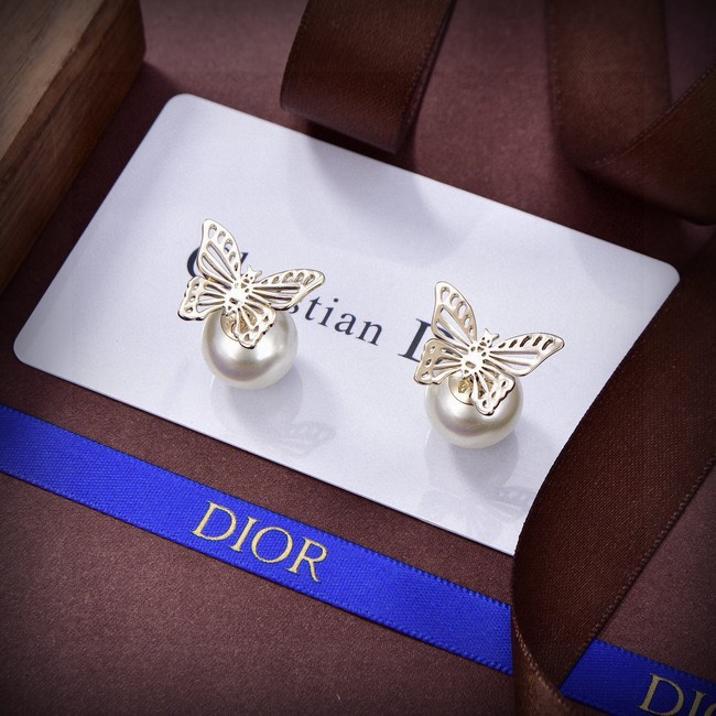 Dior Earrings CE15421