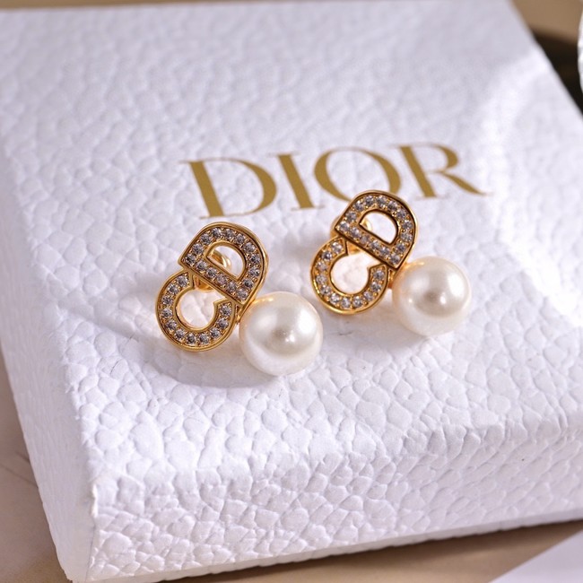 Dior Earrings CE15422